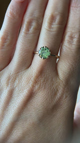 1.55ct Round Madagascar Light Green Sapphire Low Profile Scallop Cup Solitaire in 14k Yellow Gold