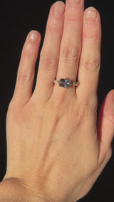 Low Profile 6 Prong Vine Solitaire with Diamonds - Setting