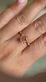 1.79ct Round "Sunset" Montana Sapphire 4 Prong Evergreen Solitaire with Scattered Embedded Diamonds in 14k Yellow Gold- with stone appraisal
