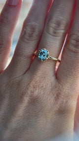 1.49ct Oval Untreated Montana Sapphire Scallop Cup Solitaire in 14k Yellow Gold