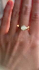 1.64ct Round "Hearts & Arrows" Cut Untreated Montana Sapphire 4 Prong Solitaire Evergreen Ring in 18k Yellow Gold