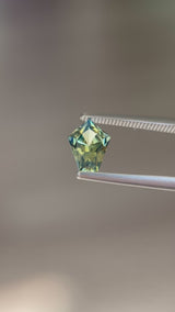 1.31ct Madagascar Sapphire, parti yellow and blue, 7.9x6.1x3.9mm, UNTREATED