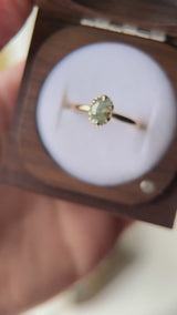 0.82ct Unheated Silky Light Seafoam Teal Montana Sapphire Scallop Cup Solitaire in 14k Yellow Gold