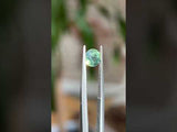 1.29CT ROUND MADAGASCAR SAPPHIRE, PARTI GREEN WITH LIGHT TEAL FLASHES, 6.2MM