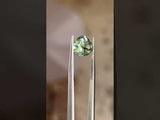 3.28CT MODIFIED TRILLION PEAR CUT MONTANA SAPPHIRE, GREEN YELLOW FLASHES OF TEAL, 8.9X9.7MM, UNTREATED