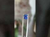 1.68ct Vibrant Blue Round Sapphire Six Prong Evergreen Solitaire in 14k Yellow Gold