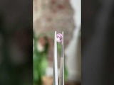 1.09CT Round Montana Sapphire, Cherry Blossom Pink, 6.12x4.04MM, UNHEATED