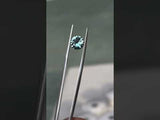 1.41CT ROUND SONGEAN SAPPHIRE, COLOR SHIFTING BLUE GREEN PURPLE, 7.1X4MM