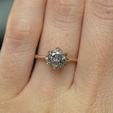 1.47ct Salt and Pepper Diamond Six Prong Split Shank Satin Finished Ring In 14k Yellow Gold