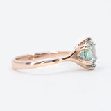 1.76ct Montana Sapphire Low Profile Six Prong Split Shank Ring in 14k Rose Gold