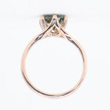 1.76ct Montana Sapphire Low Profile Six Prong Split Shank Ring in 14k Rose Gold