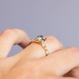 0.90ct Round Grey Moissanite in 14k Yellow Gold Evergreen Solitaire with Scattered Embedded Diamonds