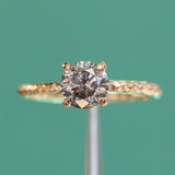 1.09ct Round Salt and Pepper Diamond Evergreen Solitaire in 14k Yellow Gold