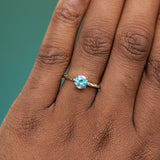 1.05ct Round Montana Sapphire Evergreen Solitaire in 14k Yellow Gold