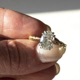 2.03ct Grey Oval Diamond Cathedral Double Prong Evergreen Solitaire in 18k Yellow and Platinum