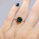 3.03ct Round Deep Teal Sapphire Scallop Cup Solitaire in Satin 18k Yellow Gold