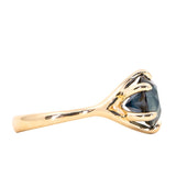 3.88ct Round Madagascar Sapphire Six Prong Split Shank Solitaire in 18k Yellow Gold