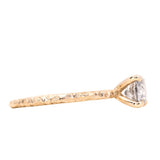 1.05ct Round Salt And Pepper Diamond Evergreen Solitaire in 14k Yellow Gold
