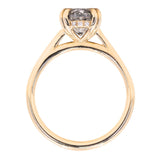 1.75ct Round Salt & Pepper Diamond Hidden Halo Evergreen Carved Solitaire Ring in 14k Yellow Gold