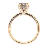 1.63ct Round Salt & Pepper Diamond Double Claw Prong Solitaire with French Diamonds in 14k Yellow Gold