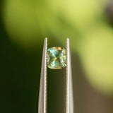 0.80CT CUSHION CUT MONTANA SAPPHIRE, PARTI SPRING GREEN WITH LIGHT BLUE, 5.31X3.56MM