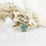 1.64ct Oval Madagascar Sapphire Evergreen Solitaire in 14k Yellow Gold