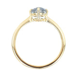 0.90ct Round Salt And Pepper Diamond Ring 4 Prong Compass Set In 14k Yellow Gold