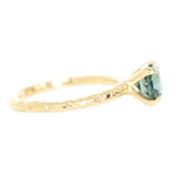 1.60ct Round Sapphire Solitaire In 14k Yellow Gold Evergreen