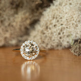 1.85ct GIA Crown Jubilee® Diamond Six Prong Halo Ring in 14k Yellow Gold styled shot in front of moss