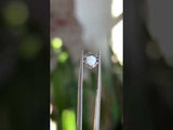 2.02CT ROUND SALT AND PEPPER DIAMOND, MEDIUM GREY WITH BLACK AND SILVER GLOW, 7.88X5.0MM
