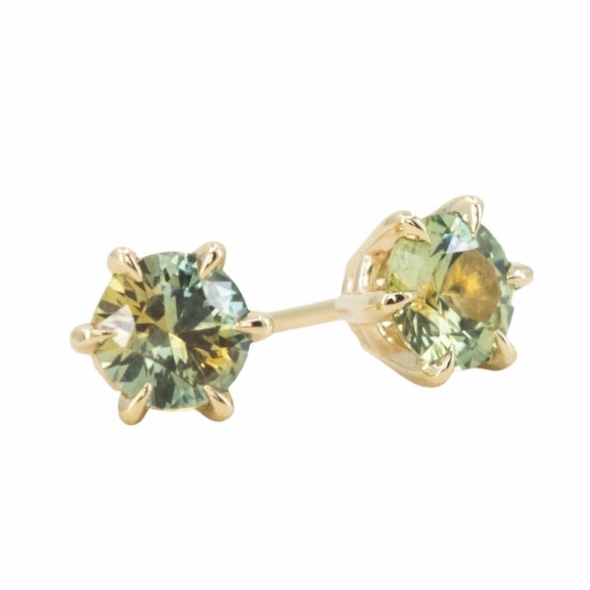0.99ctw Montana Parti Sapphire stud earrings in 14k Yellow Gold