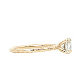 0.97ct Round Salt And Pepper Diamond Evergreen Solitaire in 14k Yellow Gold
