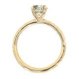 1.10ct Round Salt And Pepper Diamond Evergreen Solitaire in 14k Yellow Gold