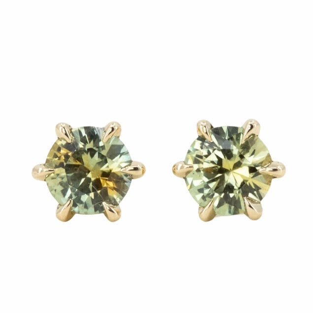 0.99ctw Montana Parti Sapphire stud earrings in 14k Yellow Gold
