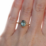 1.57ct Oval Parti Sapphire Scallop Cup Solitaire in 14k Yellow Gold